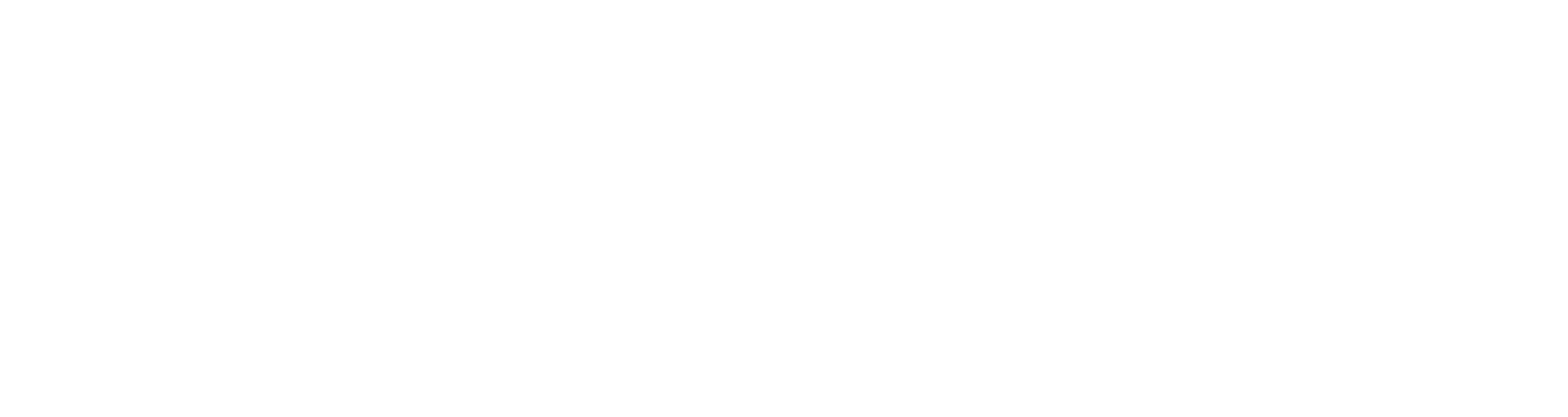 Emerglight